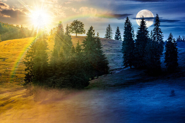Холодный утренний туман в хвойном лесу в горах. концепция смены времени дня и ночи. деревья на холме с солнцем и луной. Прекрасное загородное место для фотографии. дуальность и шаблон перехода