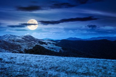 Geceleri çimenli çayır manzarası. Yazın dolunay ışığında dağ manzarası. seyahat geçmişi. Yatırım ya da soyut kavramlar için arka plan. Yeşil alp ortamının güzelliği