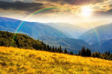 Yazın gün batımında yemyeşil dağlarda. Gökkuşağının altındaki yeşil Karpat dağ manzarası. Uzaktaki vadiye açılan güzel bir manzara. Görkemli kırsal bölge. Akşam ışığında açık hava maceraları