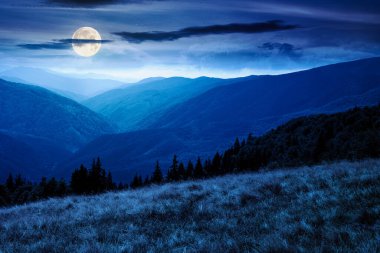 lush alpine meadow in summer at night. green carpathian mountain landscape under dark sky. beautiful open view in to the distant valley. majestic countryside. outdoor adventures in full moon light
