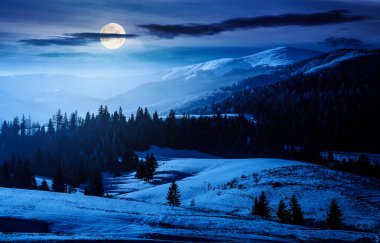 spruce forest on snowy hills at night. gorgeous winter landscape in mountains in full moon light. background for fake news or conspiracy concepts