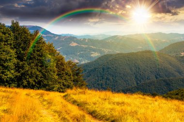Gün batımında tepelerde kayın ağaçları olan güzel dağ manzarası. Akşam ışığında dağlık arazi manzarası için harika bir manzara. gökkuşağıyla kaplanmış nostalji kitap kapağı