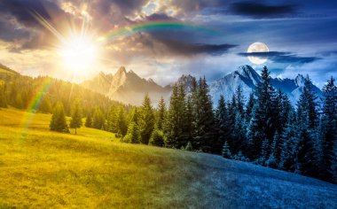 Geceleri çimenli yamaçtaki ladin ormanı. Dolunay ışığında, uzaktaki High Tatra dağlarıyla birleşik manzara. Güzel bir yaz manzarası. Sahte haber ya da komplo kavramları için arka plan 