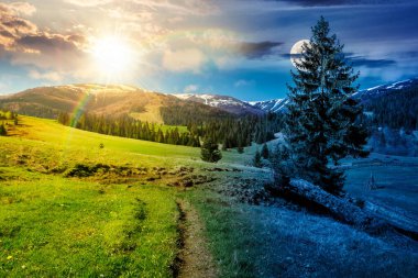 Dağlarda güzel bir bahar havası var. Gündüz ve gece zaman kavramını değiştirir. Çimenli bir çayırda güneş ve ay olan çam ağaçları. Karlı tepeli uzak dağ sırtı. eşitlik ve kayma şablonu