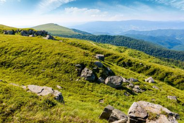 Yazın Ukrayna 'nın Karpat Dağları' ndaki yeşil alp çayırları. Çimenli tepelerdeki taşlar. Güneşli bir sabahta fotoğraf için popüler seyahat yeri. Mavi gökyüzünün altında macera yaşamak için güzel bir yer.