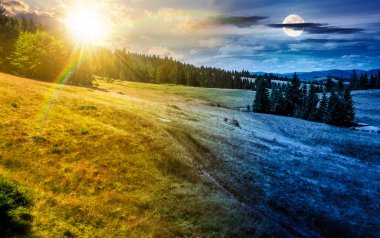 Çimenli bir yamaçtaki ladin ormanı. Gündüz ve gece zaman kavramını değiştirir. Güneşli ve aylı dağlarda güzel bir yaz gündönümü manzarası. Seyahat için kırsal bir yer. eşitlik ve kayma şablonu