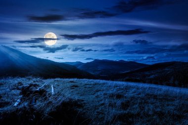 beautiful countryside at night. wonderful summertime landscape in mountains in full moon light. scenic view of grassy field and rolling hills. background for rural land investment or abstract concepts