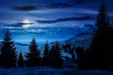 Geceleri orman ve bulutlarla kaplı dağ manzarası. Tepenin yamacında dolunay ışığında uzun ladin ağaçları. Uzakta bir vadi. Harika bir doğa geçmişi var. Yatırım finansmanı veya soyut kavramlar