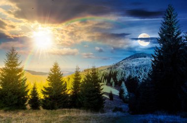 mountain landscape with forest and clouds. day and night time change concept. tall spruce trees on hillside with sun and moon. valley in the distance. background for duality and transition template