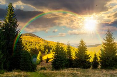 Gün batımında orman ve bulutlarla kaplı dağ manzarası. Akşam ışığında yamaçta uzun ladin ağaçları. Uzakta bir vadi. Harika bir doğa geçmişi var. gökkuşağıyla kaplı sonsuz nostalji kitabı.