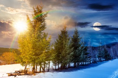 Kış mevsiminde karlı tepenin üstündeki çam ağaçları. Gündüz ve gece zaman kavramını değiştirir. Güneşli ve aylı dağlarda güzel bir manzara. Tatil geçmişi. ikilik ve geçiş şablonu