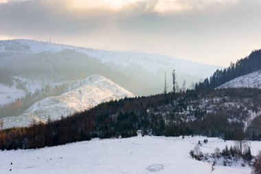Orman tepeleri karla kaplı kış manzarası. Mavi gökyüzünün altında, soğuk havada Karpat Dağları. Güneşli bir günde kırsal bir manzara. Ukrayna 'nın Alp bölgesinde Noel tatili için arka plan