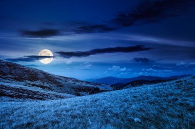 Geceleri çimenli çayır manzarası. Yazın dolunay ışığında dağ manzarası. seyahat geçmişi. Yatırım ya da soyut kavramlar için arka plan. Yeşil alp ortamının güzelliği