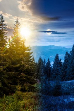 Sonbaharda yemyeşil ormanlarla kaplı dağ manzarası. Gündüz ve gece zaman kavramını değiştirir. Gökyüzünün altında, güneş ve ayın altında kozalaklı ağaçlarla güzel bir yer. ikilik ve geçiş şablonu