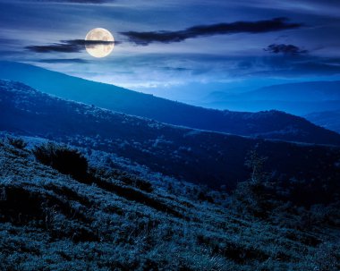 Geceleri tepeleri yuvarlanan dağ manzarası. uzak vadiyi gören ve dolunay ışığında orman yamaçları olan yaz kırsal manzarası. Yatırım finansmanı veya soyut kavramlar