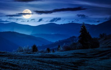 İlkbaharda geceleri güzel bir kır manzarası. Dolunay ışığında dağlık kırsal alanda çimenli yamaçlar. Tepeler uzaklığa doğru yuvarlanıyor. Sahte haber ya da komplo kavramları için arka plan