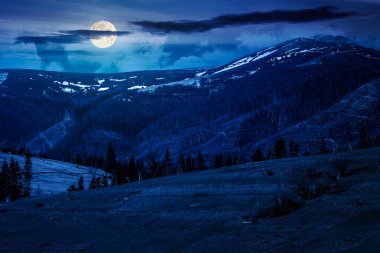 Geceleri, ilkbaharda tepenin kırsal bölgelerinde. Dolunay ışığında, uzaktaki karlı dağ. Gökyüzünde bulutlar olan güzel bir manzara. Yatırım finansmanı veya soyut kavramlar