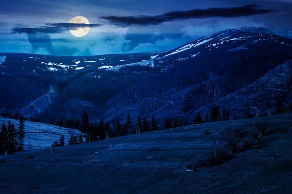 Geceleri, ilkbaharda tepenin kırsal bölgelerinde. Dolunay ışığında, uzaktaki karlı dağ. Gökyüzünde bulutlar olan güzel bir manzara. Yatırım finansmanı veya soyut kavramlar