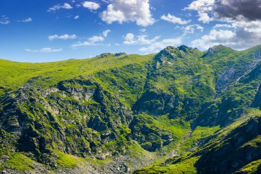 Yazın Romanya 'nın dağ manzarası. Güneşli bir günde bulutlu mavi gökyüzünün altında ibneler tepesi. Kayalık tepeleri ve dik yamaçları olan alp manzarası. Yürüyüş için manzaralı bir yerin yatay seyahat arka planı