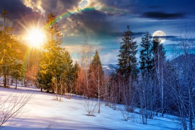 Kış gündönümü manzarası. Gündüz ve gece zaman kavramını değiştirir. Alacakaranlıkta tepedeki yaprak döken orman güneş ve ay ile kaplandı. Mavi gökyüzünün altında güzel bir manzara. ikilik ve geçiş şablonu