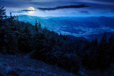 Geceleri dağ manzarasında kozalaklı orman. Ulusal parkta dolunay ışığında manzaralı bir yer. Vadinin panoramik manzarası ve yemyeşil yamaç. Yatırım veya soyut kavramlar için arkaplan resmi