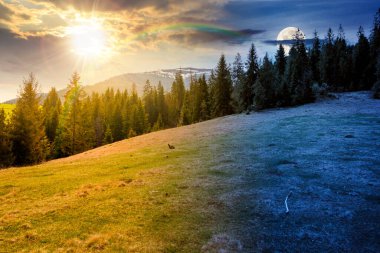 Bahar ekinoksunda ladin ormanları olan dağ manzarası. Gündüz ve gece zaman kavramını değiştirir. Tepedeki yeşil çayırda güneş ve ay var. Gökyüzünün altında bulutlarla kaplı uzak bir menzil. Güzel manzara.