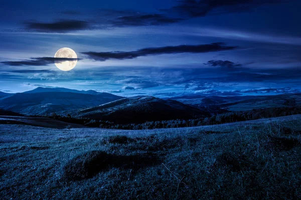 beautiful countryside at night. wonderful summertime landscape in mountains in full moon light. scenic view of grassy field and rolling hills. background for rural land investment or abstract concepts