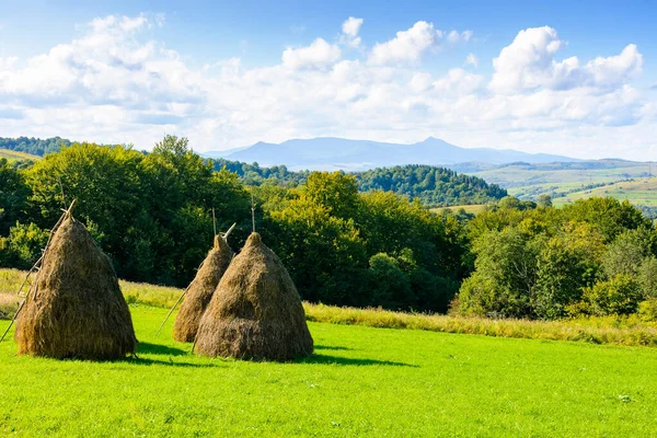 Güneşli bir günde Karpat dağlarında kırsal alan. Sonbaharın başlarında yeşil çimenler ve bulutlu gökyüzünün altında uzak tepeler. Ukrayna 'nın kırsal manzarası. Transcarpathia 'nın alp otlağı