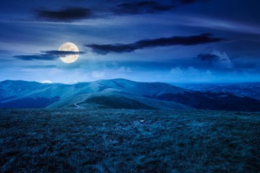 Yazın geceleri dağlardaki dağlık çayırlarda. Dolunay ışığında, karanlık gökyüzünün altında yemyeşil çimlerle kaplı yuvarlanan tepelerin güzel manzarası. Seyahat yeri. Yatırım veya soyut kavramlar için arkaplan