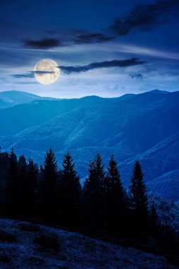 Sonbaharda sonbaharda ormanlarla kaplı bir dağ manzarası. Karanlık gökyüzünün altında, dolunay ışığında kozalaklı ağaçların olduğu manzaralı bir yer. Yatırım veya soyut kavramlar için dikey arkaplan
