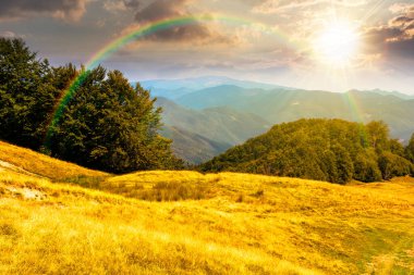 Gün batımında tepelerde kayın ağaçları olan güzel dağ manzarası. Akşam ışığında dağlık arazi manzarası için harika bir manzara. gökkuşağıyla kaplanmış nostalji kitap kapağı