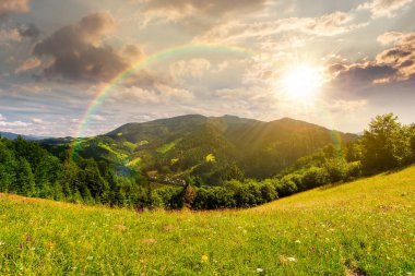 Yazın gün batımında güzel dağ manzarası. Akşam ışığında yuvarlanan tepelerde çimenli çayırlar. Uzakta tepe var. Gökyüzünde güneşli hava bulutları. Gökkuşağının altında kurumsal bir duvar kağıdı var.