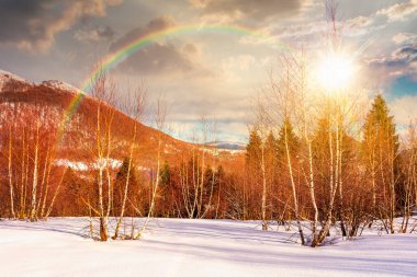 Gün batımında kış manzarası. Akşamüstü karla kaplı tepenin üzerindeki yaprak döken orman. Mavi gökyüzünün altındaki doğal park manzarası seyahat için. Gökkuşağının altında hikaye anlatımı sinemasal görüntü