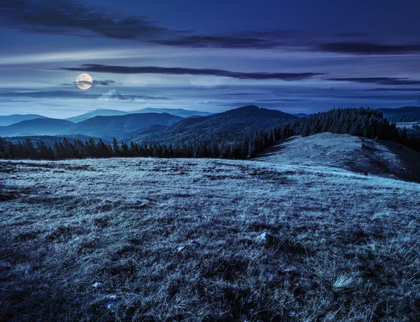 Prato su una collina vicino alla foresta di notte — Foto Stock