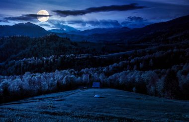 İlkbaharda kırsal bölgede geceleri. Tepelerdeki tarımsal alanda dolunay ışığında orman var. Karanlık gökyüzü olan güzel bir kırsal bölge. Sahte haber ya da komplo kavramları için arka plan