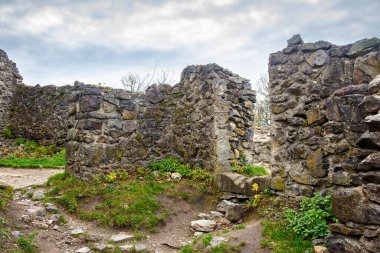 Nevytske, Ukrayna - 16 Kasım 2013: Ukrayna 'nın Transcarpathia bölgesindeki ortaçağ şatosu kalıntıları. Bulutlu bir günde antik taş kale mimarisi. Uzhhorod şehrinin yakınında bulunan seyahat mirasları alanı