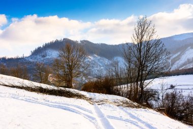 Orman tepeleri karla kaplı kış manzarası. Mavi gökyüzünün altında, soğuk havada Karpat Dağları. Güneşli bir günde kırsal bir manzara. Ukrayna 'nın Alp bölgesinde Noel tatili için arka plan