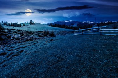 İlkbaharda geceleri kırsal alan. Dolunay ışığında yeşil çayır üzerindeki ahşap çitlerin yanında saman yığını. Yuvarlanan tepelerdeki ladin ormanı. Karla kaplı bir dağ. Yatırım finansmanı veya soyut kavram