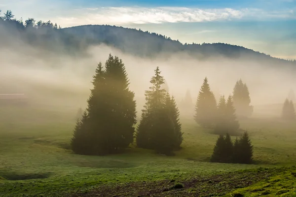 Brouillard au lever du soleil chaud dans les montagnes — Photo