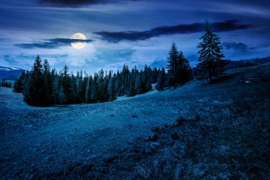 Geceleri dağlarda güzel bir bahar havası olur. Dolunay ışığında çimenli bir çayırda ladin ormanı. Karanlık gökyüzünde bulutlar olan alp manzarası. Sahte haber ya da komplo konsepti için arka plan