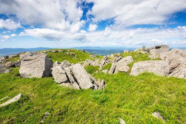 Karpatya dağ manzarasında çimenli dağlık bir çayır. Keskin kayalar ve yuvarlanan tepelerdeki yemyeşil çimlerin arasında büyük kayalar. Güneşli bir günde gezgin şehvet ve keşif için açık uzay manzarası
