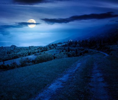Gece yeşil yuvarlanan tepelerden geçen toprak yol. Dolunay ışığında dağ sırasındaki kırsal alan. Baharda karanlık gökyüzü altında kırsal manzara. Parklar ve açık havada gizemli fanteziler