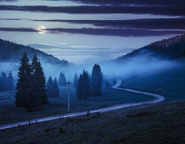 sisli dağlar gece ormanda köknar yakınlarındaki yolu