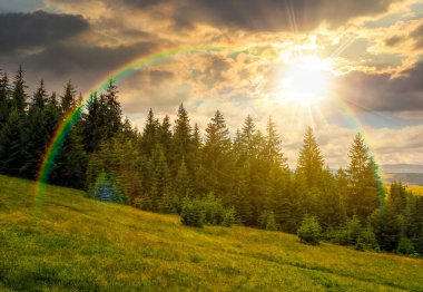Gün batımında kozalaklı ormanlı yeşil dağ yamacı. Yaz akşamları bulutlu gökyüzünün altındaki dağlık arazi. Harika bir hava. gökkuşağıyla kaplı sonsuz nostalji kitabı.