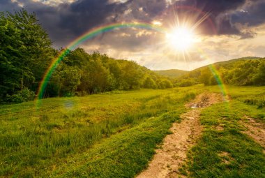 Kırsal toprak yol gün batımında ormanda saklanır. Yaz akşamları çimenli alp otlaklarında yol. Dağlardaki güzel kır manzarası. Gökkuşağının altında gezinmek için uzak bir yer keşfet.