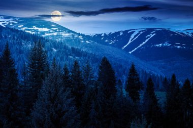 İlkbaharda geceleri dağ manzarasında kozalaklı orman. Dolunay ışığında koyu gökyüzü olan yemyeşil bir çevre. Kar tepelerinin manzarası. Sahte haber ya da komplo konsepti için arka plan