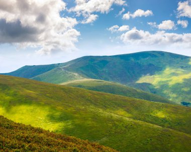 Yazın Ukrayna 'nın Karpat Dağları manzarası. Yuvarlanan tepelerle güzel bir seyahat geçmişi var. Lekeli ışıkta yemyeşil çimenli yamaçta. Transcarpathia tatil sezonu. dar telefon görünümü