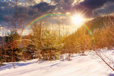 Gün batımında kış manzarası. Akşamüstü karla kaplı tepenin üzerindeki yaprak döken orman. Mavi gökyüzünün altındaki doğal park manzarası seyahat için. Gökkuşağının altında hikaye anlatımı sinemasal görüntü