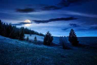 Geceleri baharda bulutlu gökyüzünün altında yeşil tarlaları olan yuvarlanan bir tepe. Manzaralı manzara dağları dolunay ışığında. Sahte haber veya komplo konsepti için arka plan. Ağaçların silueti