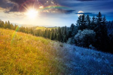 Yazın yamaçtaki sarp yamaçtaki kozalaklı orman. Gündüz ve gece zaman kavramını değiştirir. Güneşli ve aylı dağ manzarası. Destansı doğa manzarası. Çayıra yakın köknar ağaçları. Astroloji duvar kağıdı